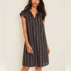 ANN TAYLOR Metallic Stripe Tie Neck Shift Dress In Black Size 4 Knee Length
